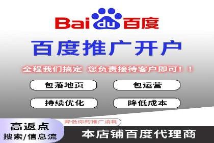 低成本高回报：百度包年竞价实战技巧揭秘